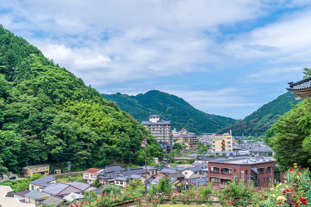 山形県の町の風景